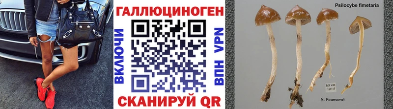Псилоцибиновые грибы GOLDEN TEACHER  MEGA зеркало  Сосновый Бор 